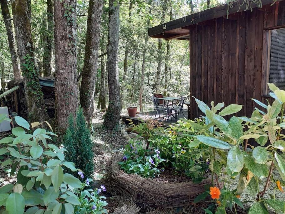 Le Gite De La Cabane De L'Oiseau Couze-et-Saint-Front Luaran gambar